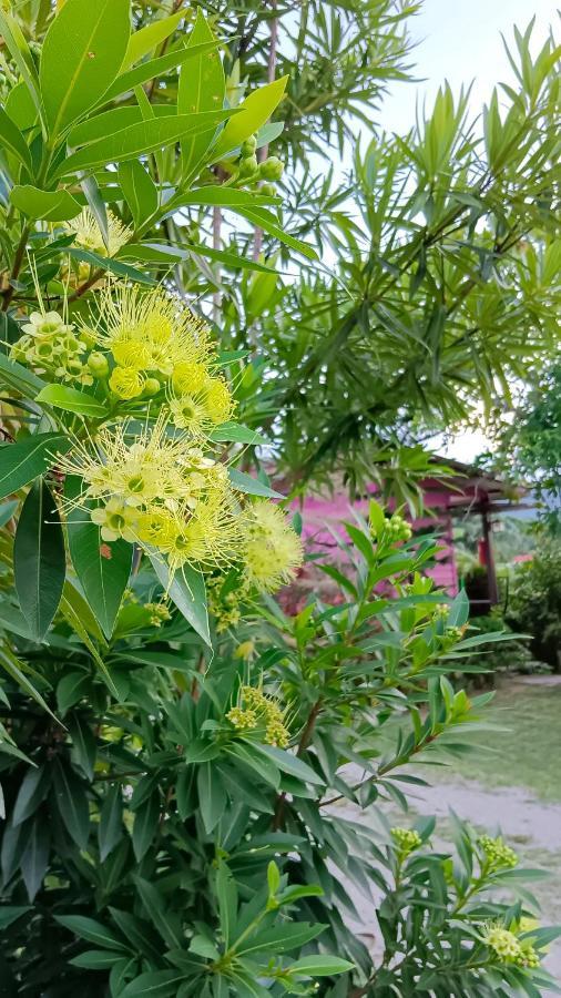 洛坤府 4 Seasons Mini House酒店 外观 照片