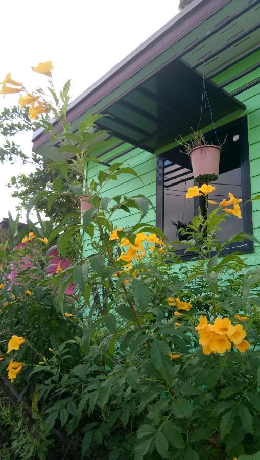 洛坤府 4 Seasons Mini House酒店 外观 照片